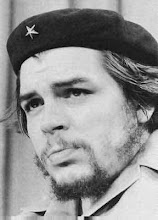 O mundo precisa de um Che Guevara